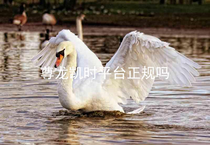 尊龙凯时平台正规吗